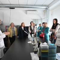 Comisia de evaluare externă ANACEC
